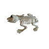 Kép 3/8 - Halloween-i dekoráció patkány, holló, kígyó vagy béka csontváz 