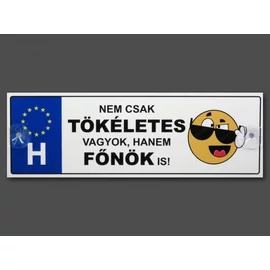 Tökéletes főnök vicces rendszámtábla