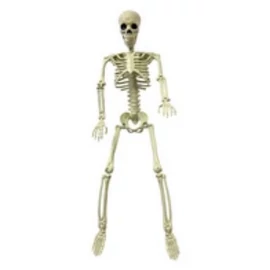 Halloween-i akasztható csontváz dekoráció 90 cm